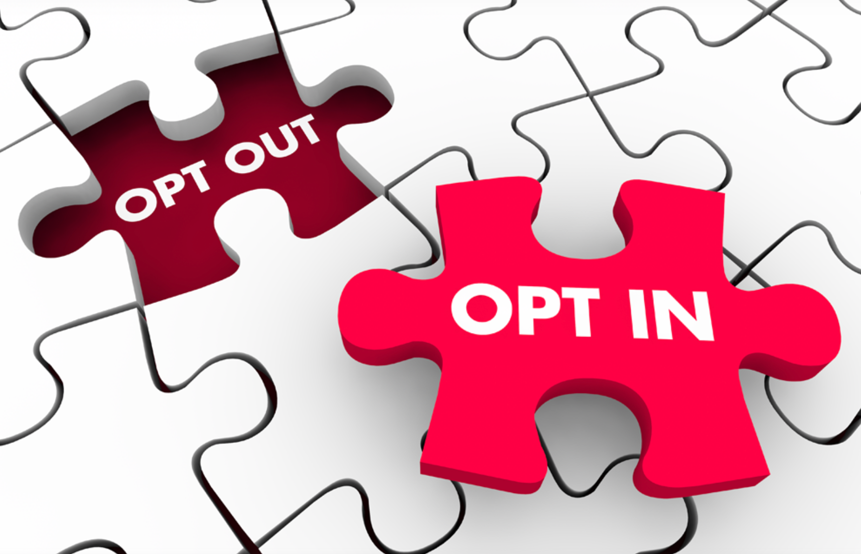 Opt In.png